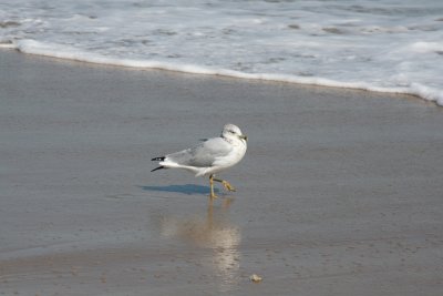 IMG_6111.JPG