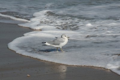 IMG_6112.JPG