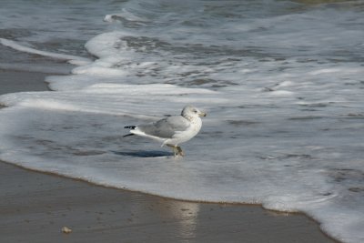 IMG_6113.JPG
