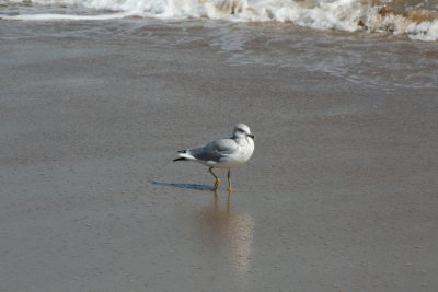 IMG_6114.JPG
