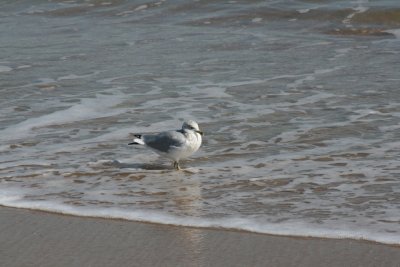 IMG_6115.JPG