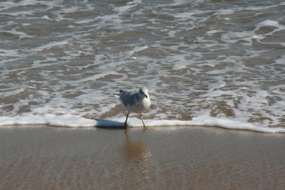 IMG_6116.JPG