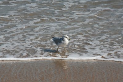 IMG_6118.JPG