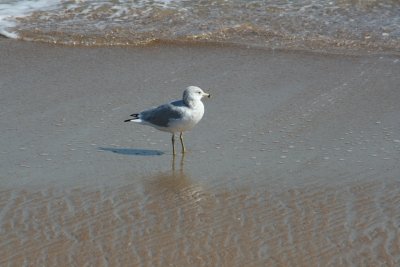 IMG_6119.JPG