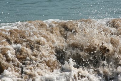 IMG_6160.JPG