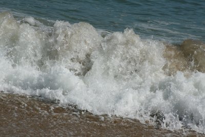 IMG_6164.JPG