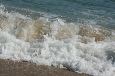IMG_6165.JPG