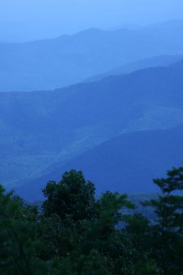 IMG_3261.JPG