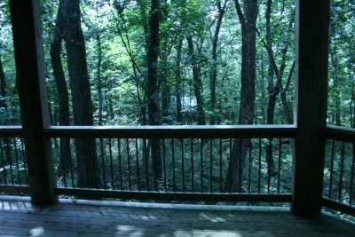 View from my bedroom