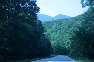 IMG_3157.JPG