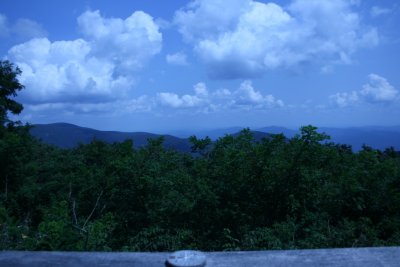 IMG_3194.JPG
