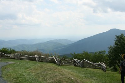 IMG_3231.JPG