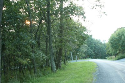 IMG_3323.JPG