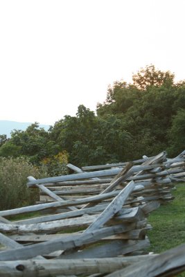 IMG_3328.JPG