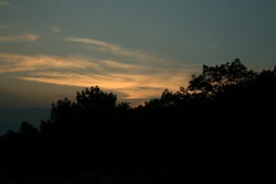 IMG_3352.JPG