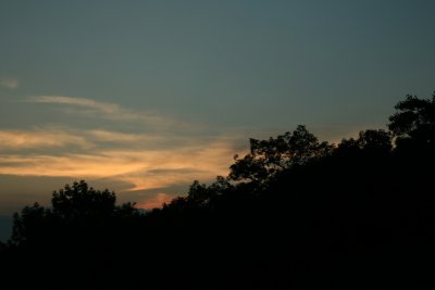 IMG_3353.JPG