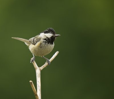 g4/97/457497/3/135475934.CXF6oN4o.jpg