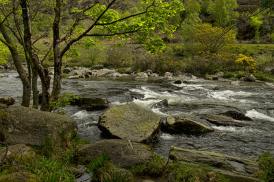 A River in Snowdonia