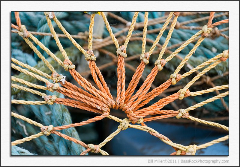 Lobster Pot Art