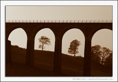 Trees Through Viaduct Arches