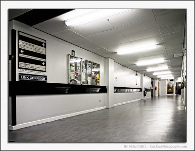 The Deserted Hospital Corridor
