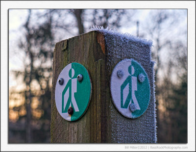 A Cold and Frosty Walk