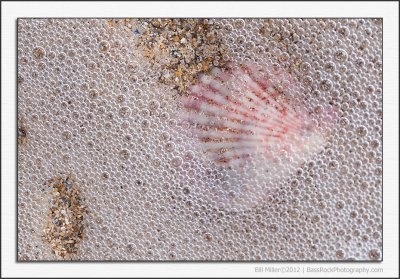 Shells and Bubbles