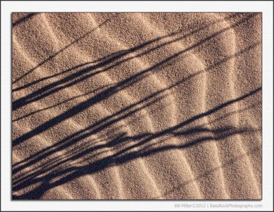 Sand Ripples and Shadows