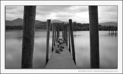 Geese on the Jetty