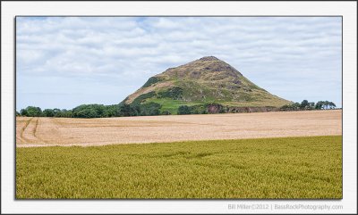 Fields and North Berwick Law