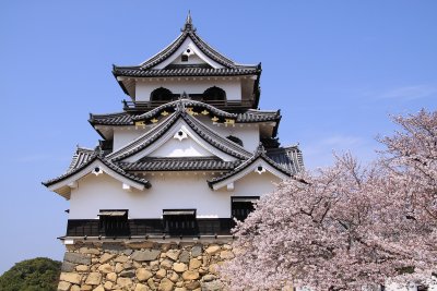 Hikone-jō 彦根城