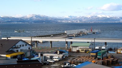 View over Hakodate Harbor