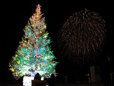 Fireworks over Hakodate Harbor