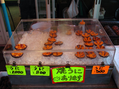 Fresh sea urchin on display