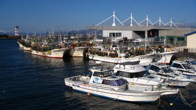 Hakodate Harbor from the waterfront