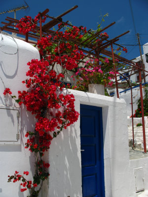 Trellis and flowers above an entrance