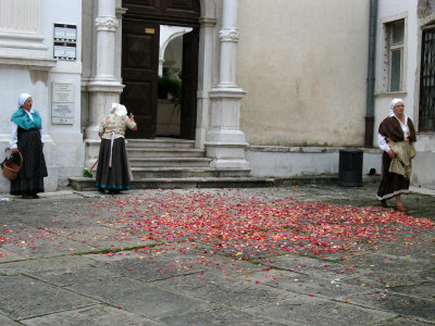 Sweeping rose petals