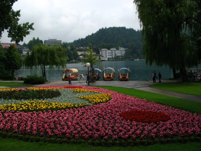 Flowers in a lakeside park