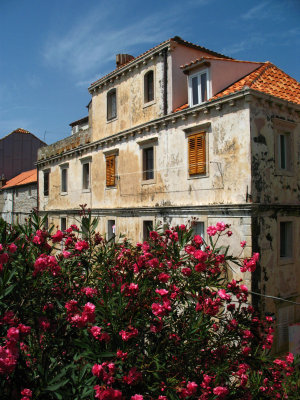 Flowers and sun-baked facade