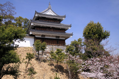 Nishio-jō 西尾城