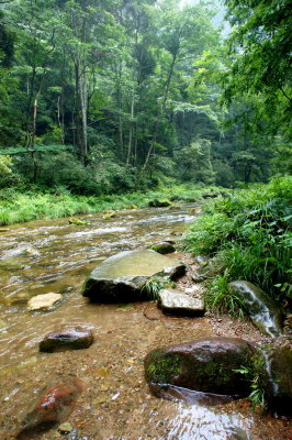 DSC02472c.jpg