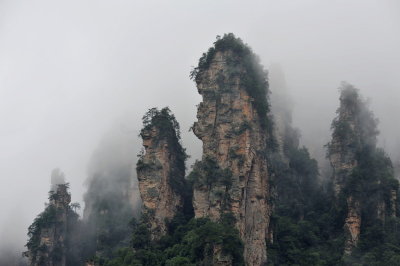 DSC_7625c.jpg