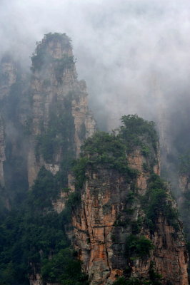DSC_7719c.jpg