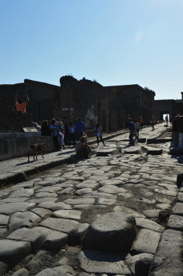 DSC_1100c.jpg
