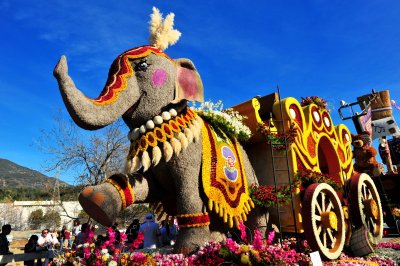 2012 rose parade,pasadena float viewing