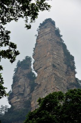 DSC_6590c.jpg