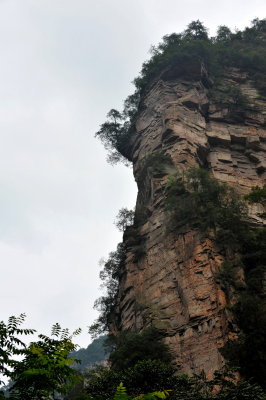 DSC_6600c.jpg