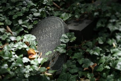 Jdischer Friedhof / Prenzlauer Berg