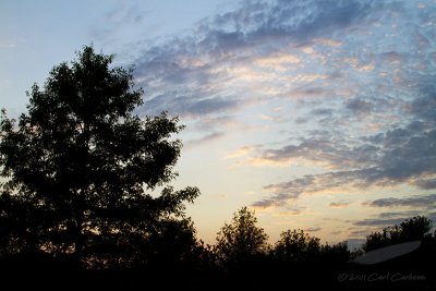 07/10/2011 - _MG_2394.jpg