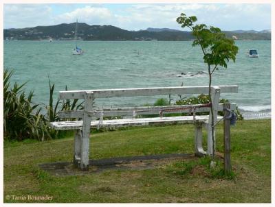 g4/97/544497/3/59620457.Lonelybench.jpg
